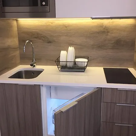 Apartment Vip Studio On E. Polotskoy 5 *