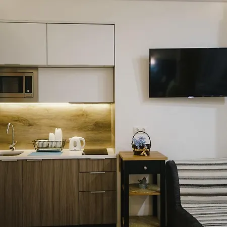 Vip Studio On E. Polotskoy 5 *